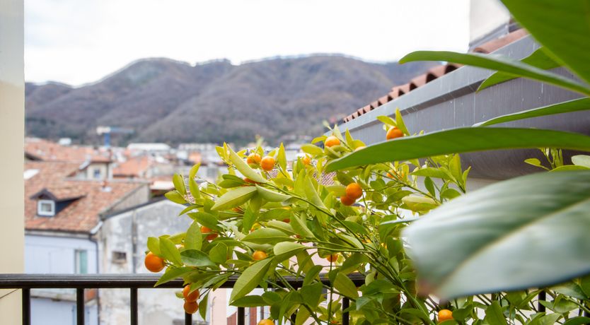 Photo of The Charming Attic