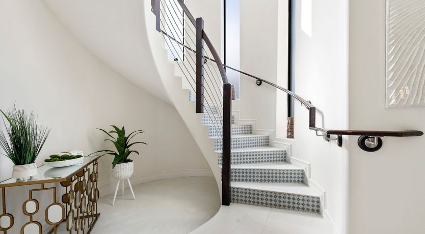 Photo of Coral Beauty