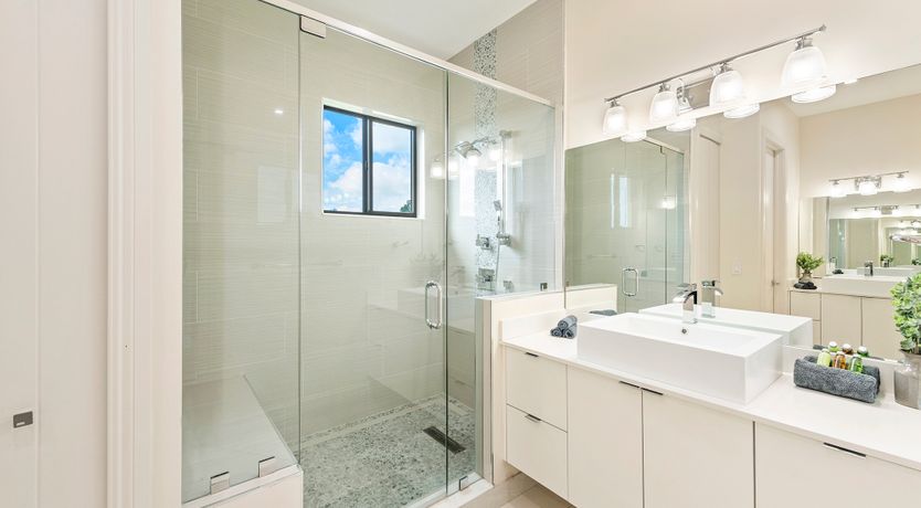 Photo of Coral Beauty