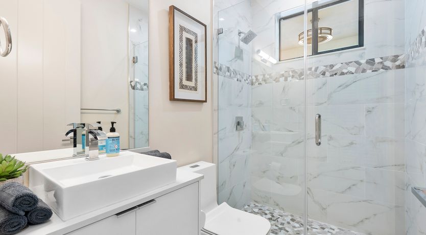 Photo of Coral Beauty