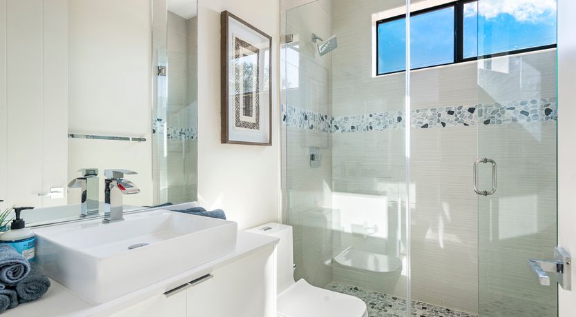 Photo of Coral Beauty