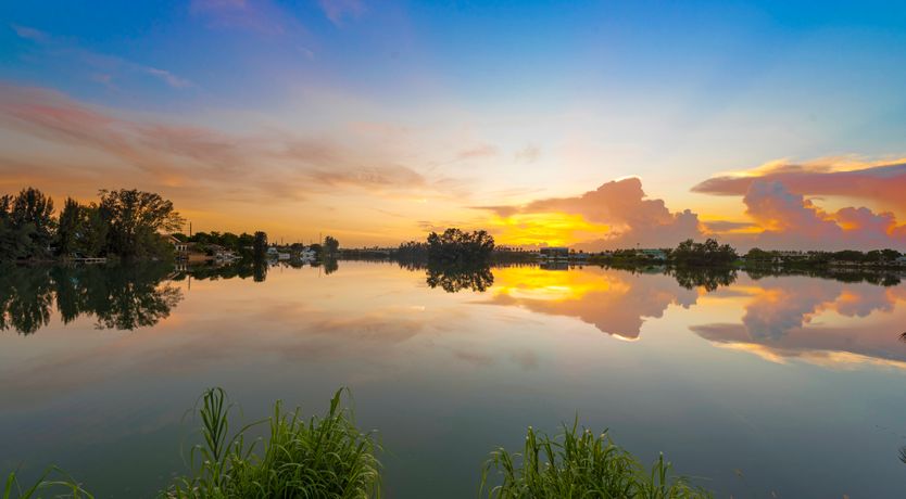 Photo of Crystal Love