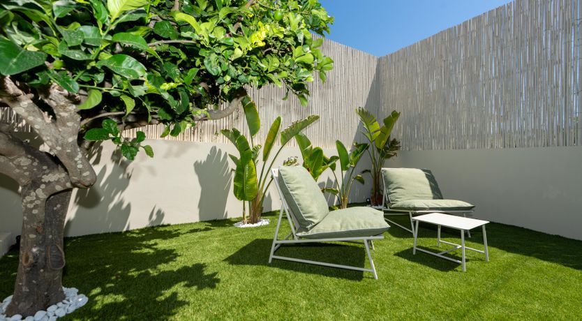 Photo of Love Dreams