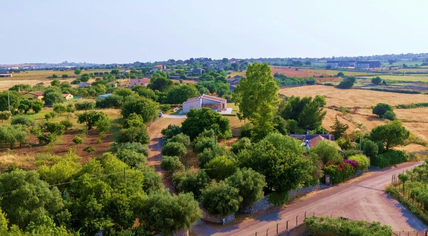 Photo of The Sicilian Palm