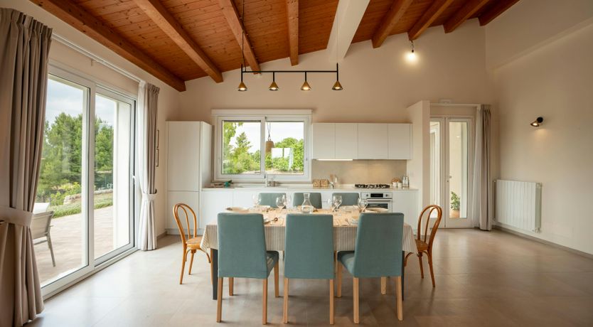 Photo of The Sicilian Palm