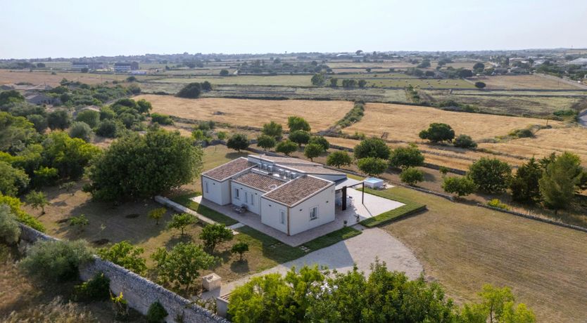 Photo of The Sicilian Palm