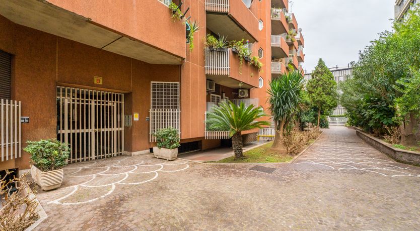 Photo of Vintage Roma