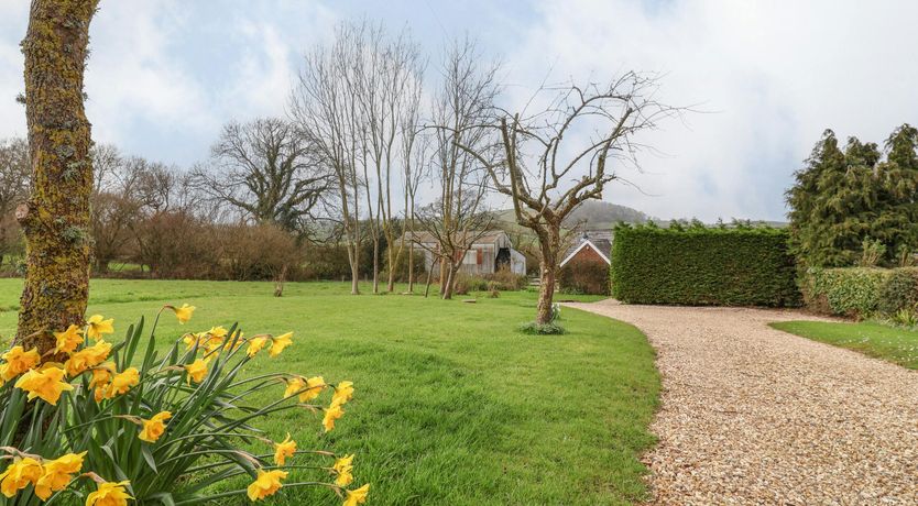 Photo of Dorset Orchards