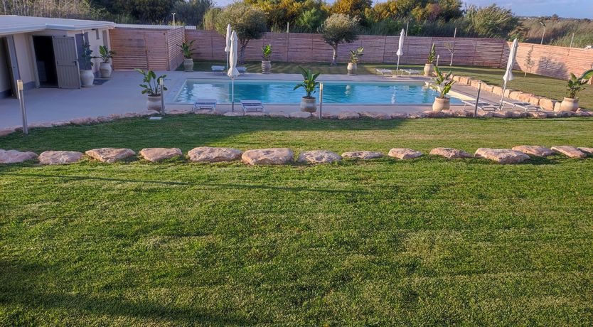 Photo of Hibiscus Dreams