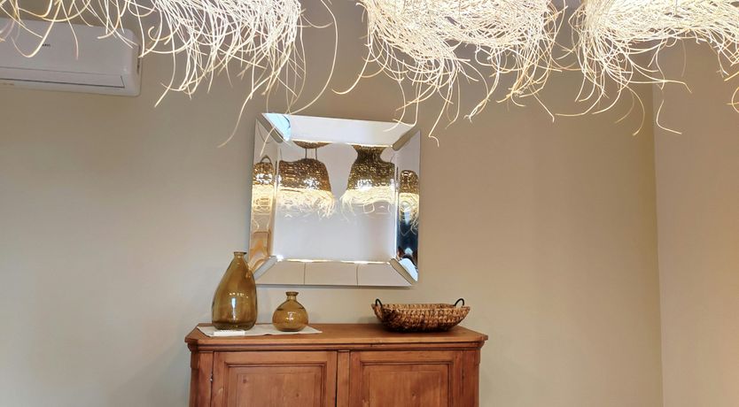 Photo of Hibiscus Dreams