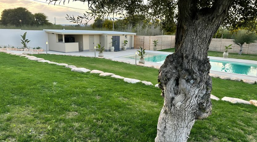 Photo of Hibiscus Dreams