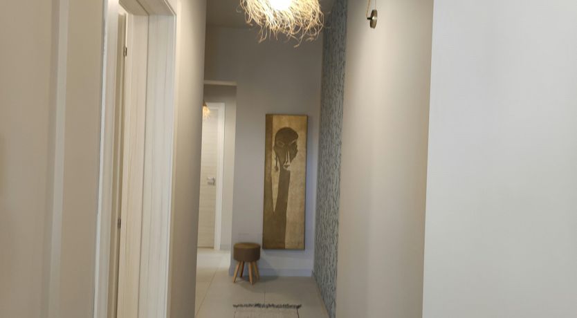 Photo of Hibiscus Dreams