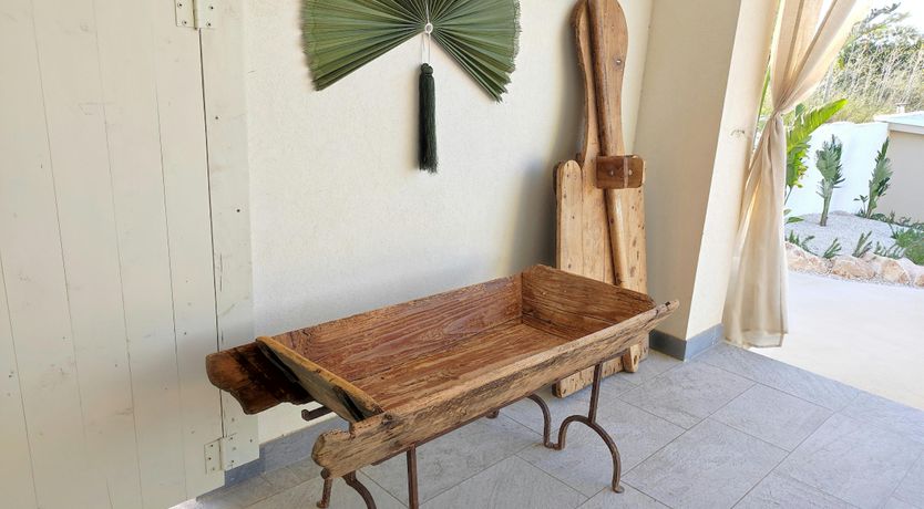 Photo of Hibiscus Dreams