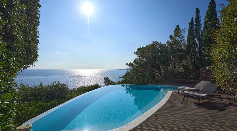 Photo of Tender Moonlight