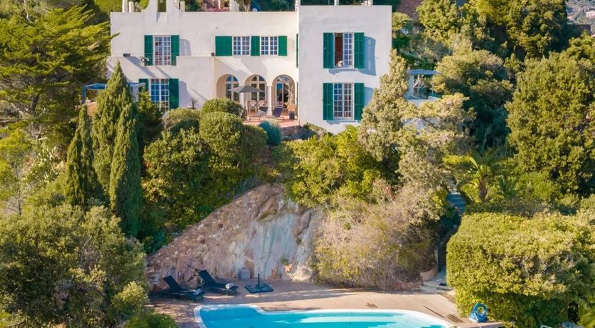 Photo of Tender Moonlight