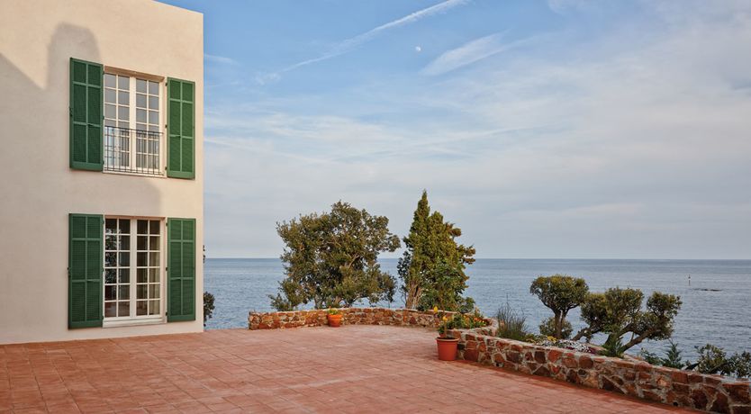 Photo of Tender Moonlight