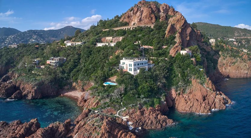 Photo of Tender Moonlight