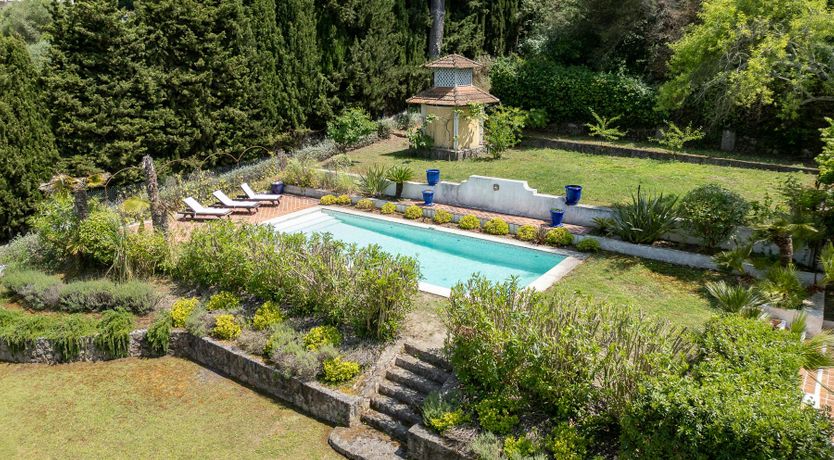 Photo of Sunset Belle