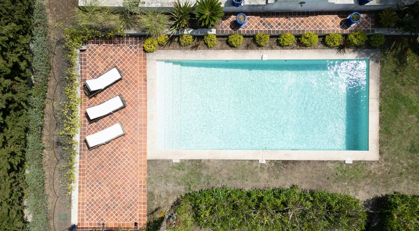 Photo of Sunset Belle