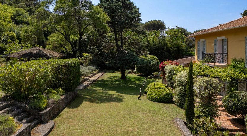 Photo of Sunset Belle