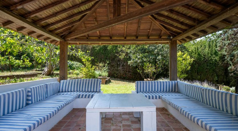 Photo of Sunset Belle