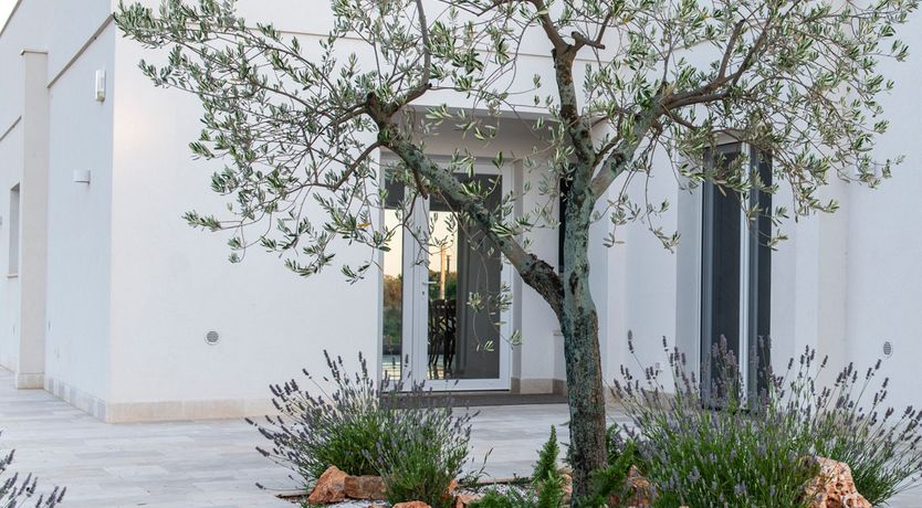 Photo of The Olive Place