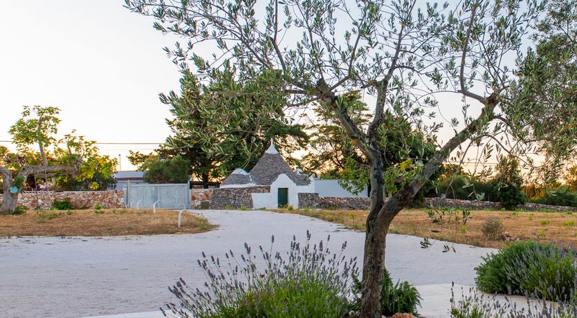 Photo of The Olive Place