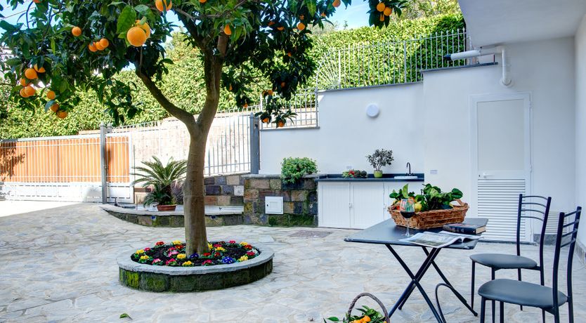 Photo of Citrus Season