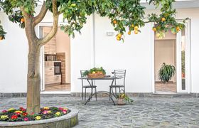 Photo of citrus-season