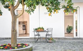Photo of Citrus Season