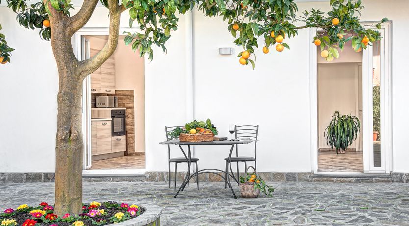 Photo of Citrus Season