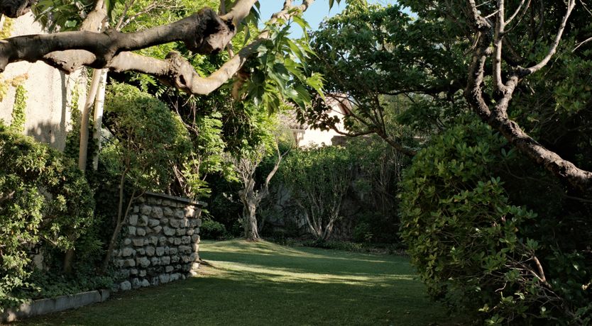 Photo of Lavender View