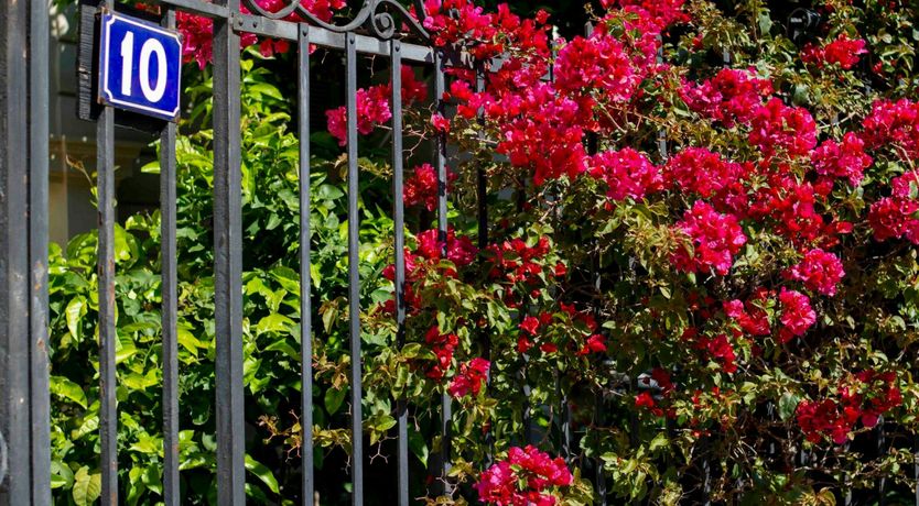 Photo of Blue Azure Horizons