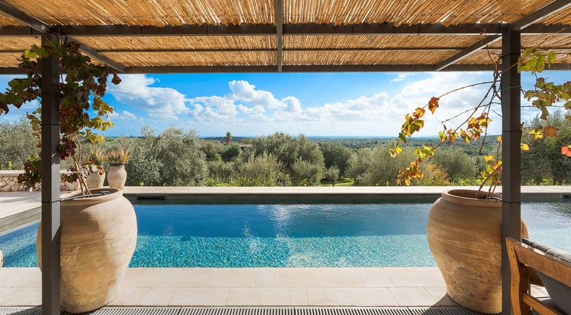 Photo of Noto Fantasy