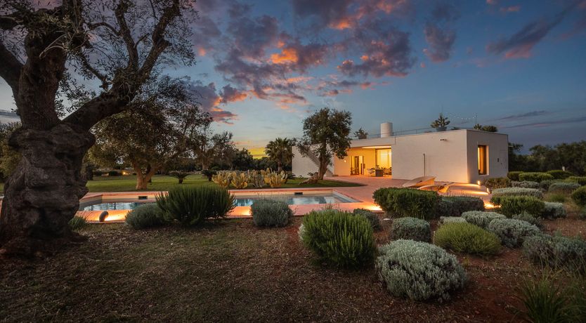 Photo of Puglia Grove