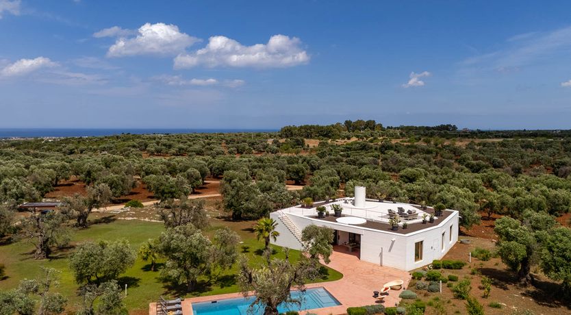 Photo of Puglia Grove