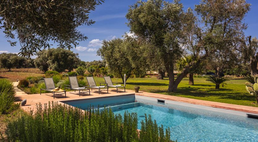 Photo of Puglia Grove