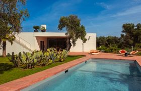 Photo of puglia-grove