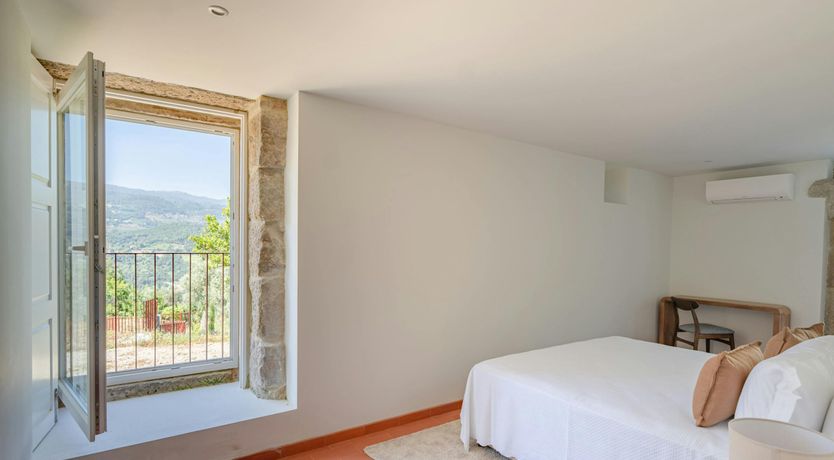 Photo of Vines of the Douro