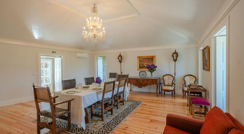 Photo of Vines of the Douro