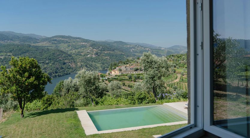 Photo of Vines of the Douro