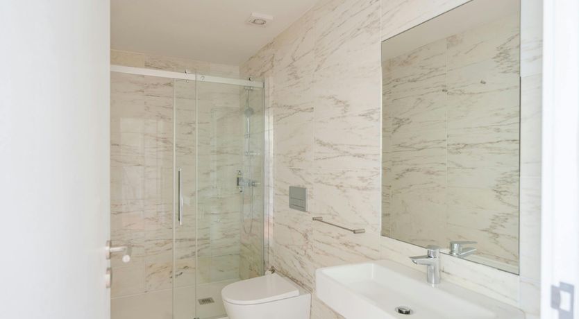 Photo of Vines of the Douro