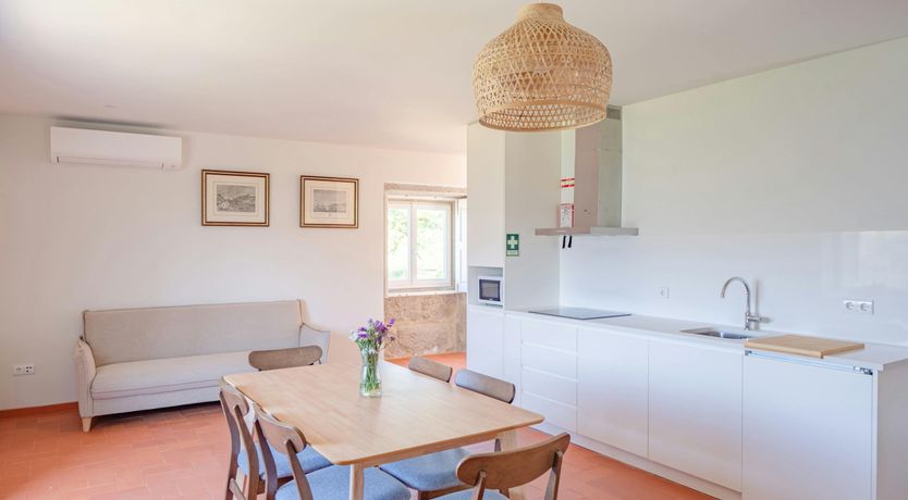 Photo of Vines of the Douro