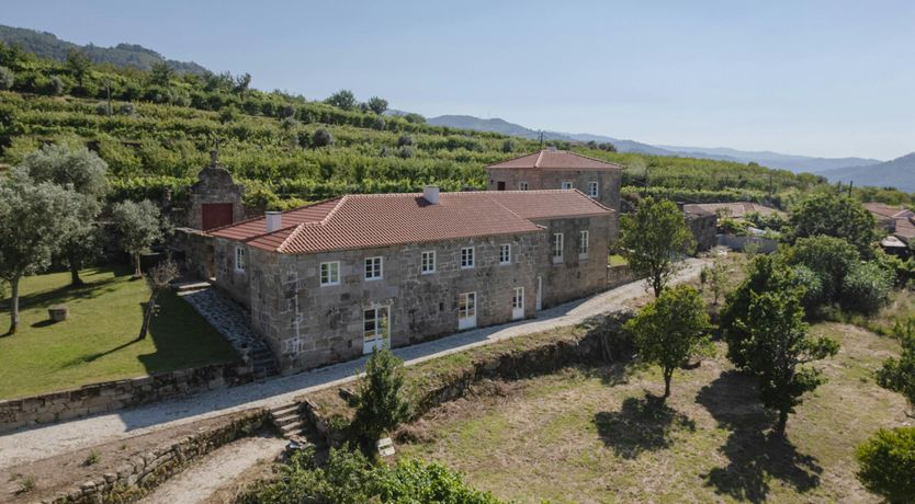 Photo of Vines of the Douro