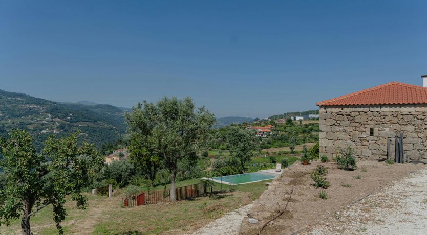 Photo of Vines of the Douro