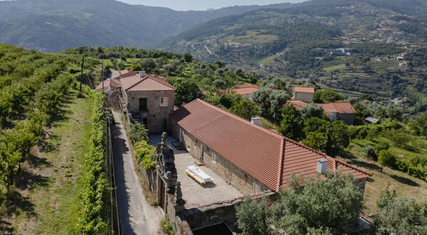 Photo of Vines of the Douro