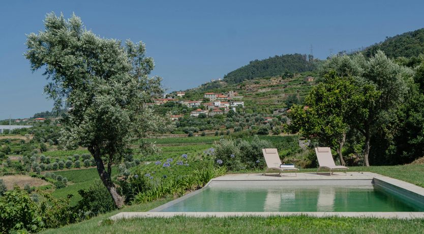 Photo of Vines of the Douro