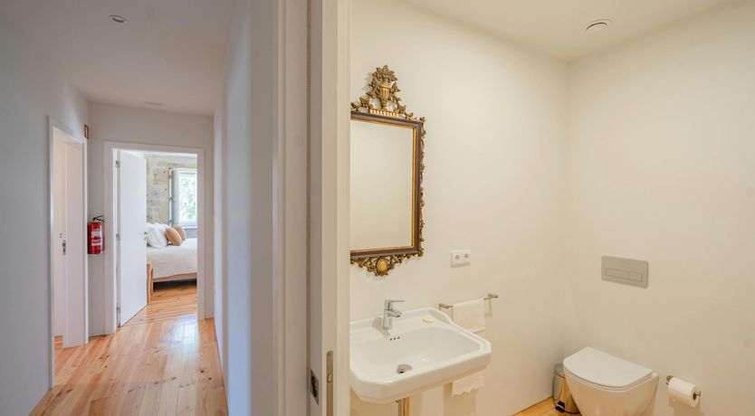 Photo of Vines of the Douro