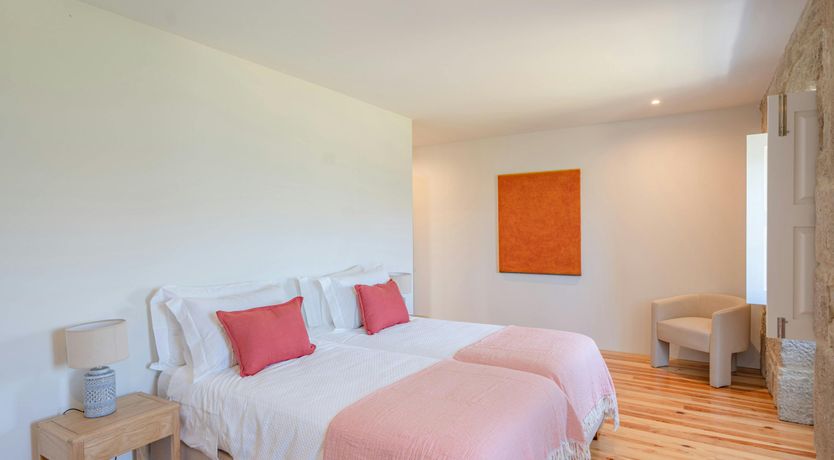 Photo of Vines of the Douro