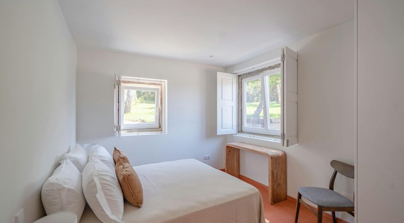 Photo of Vines of the Douro